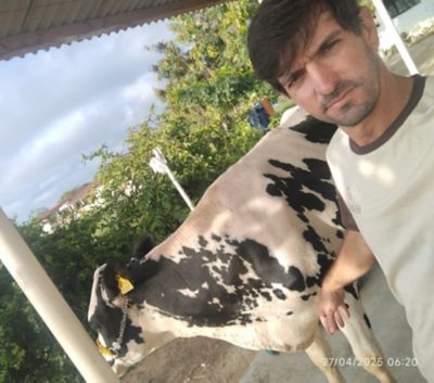 Produtor e gado em sua fazenda. 